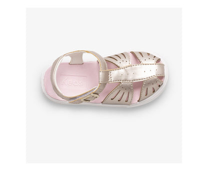 Girls Big Kid's Daphne Butterfly Rose Gold - Keds
